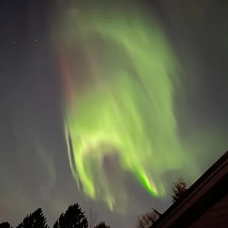 Ekskluzywny Hybel W Zaciszu Apartamento *